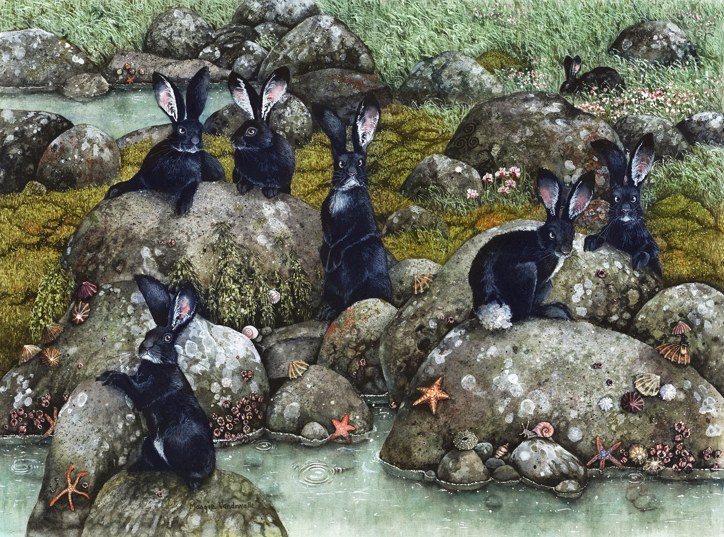 The Black Rabbits of Hy-Brasil