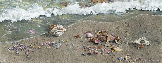 Detritus