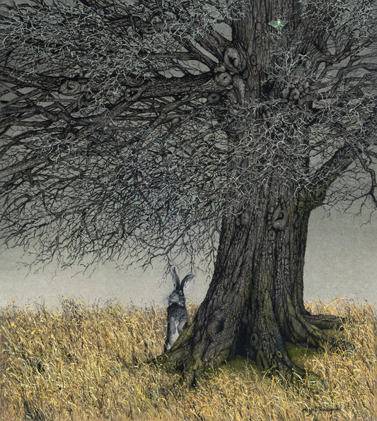 Dryad