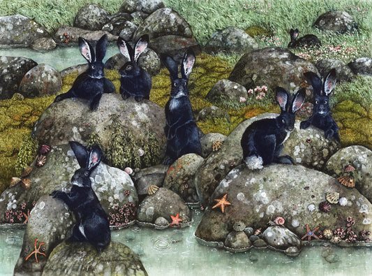 The Black Rabbits of Hy-Brasil